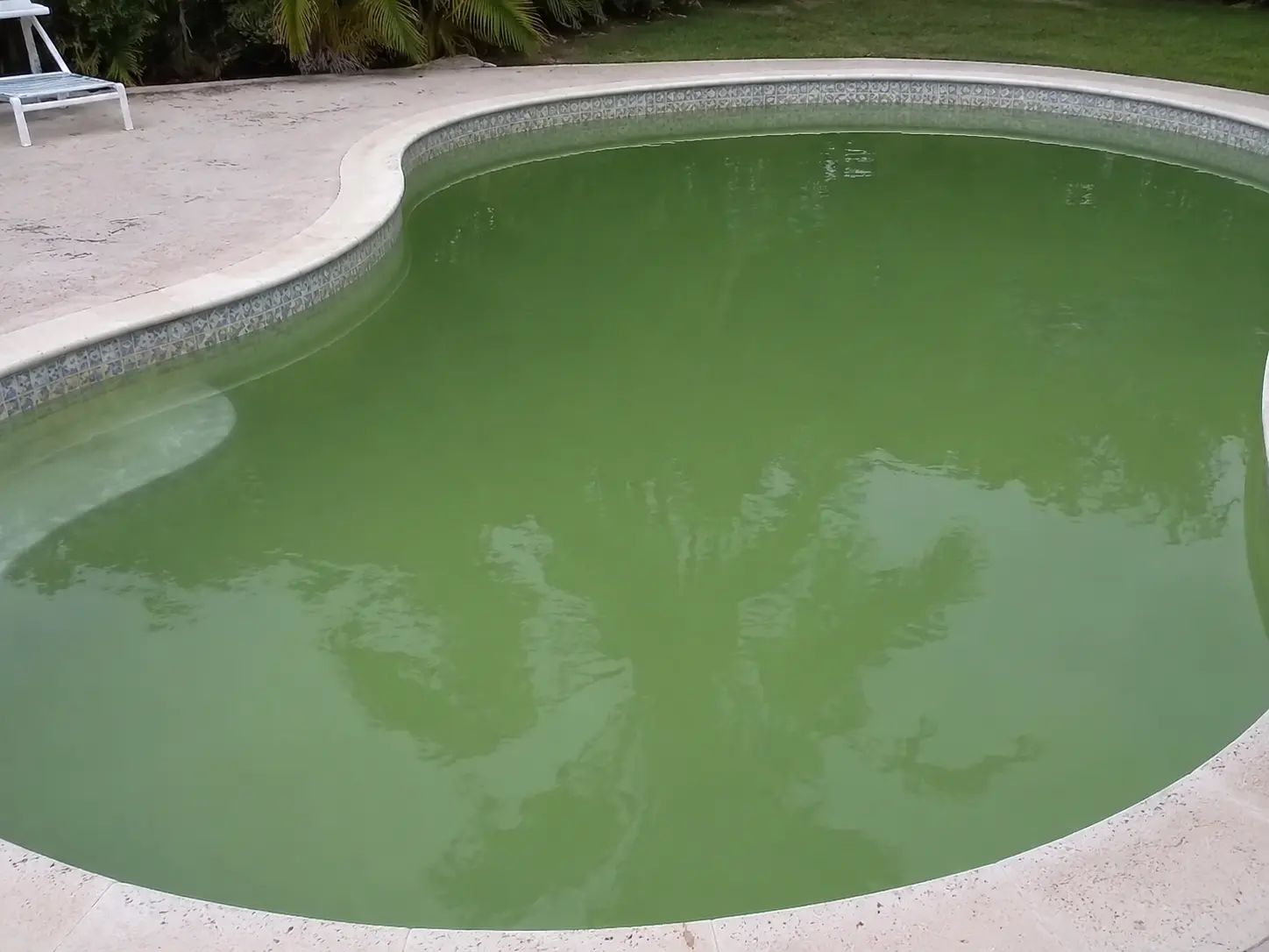 Piscine avec eau verte avant remise en état à Fréjus dans le Var